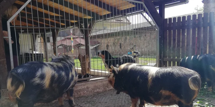 Jeden den farmářem: zážitkový pobyt na farmě pro jednoho i celou rodinu