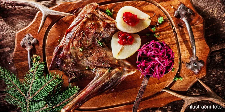 Pobyt u Vranova se zvěřinovým menu, bazénem a vířivkou