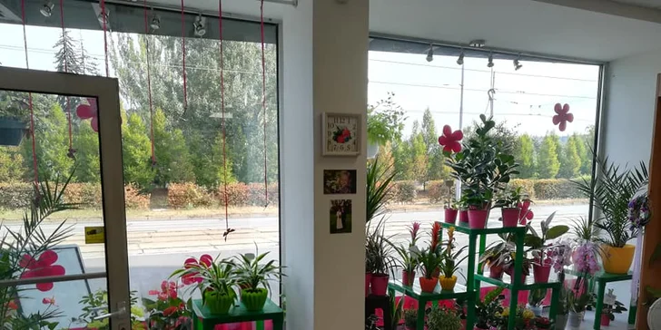 Překvapení, které vykouzlí úsměv na rtech: extra dlouhé růže i celé kytice