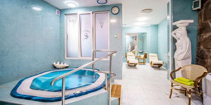 Do hotelového wellness máte denně hodinový vstup. 