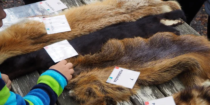 Komentovaná prohlídka zookoutku Chuchle i s krmením zvířat