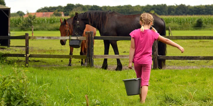 Jeden den farmářem: zážitkový pobyt na farmě pro jednoho i celou rodinu
