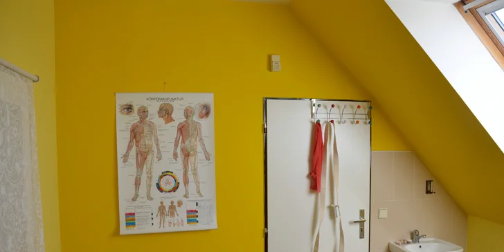 Individuální cvičení pro zdravá záda včetně doporučení na domácí cvičení