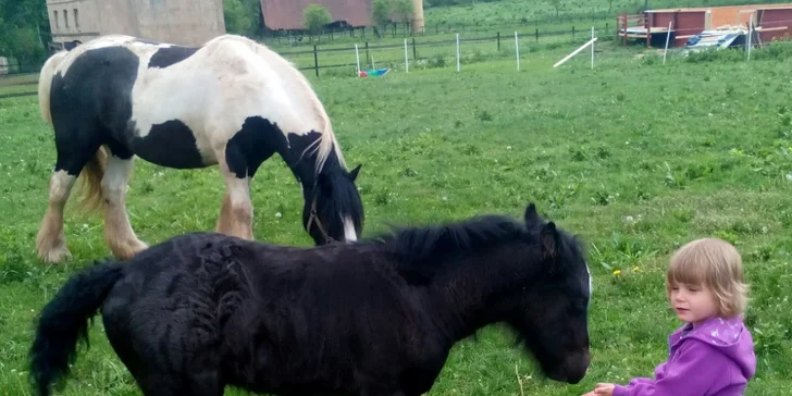 Jeden den farmářem: zážitkový pobyt na farmě pro jednoho i celou rodinu