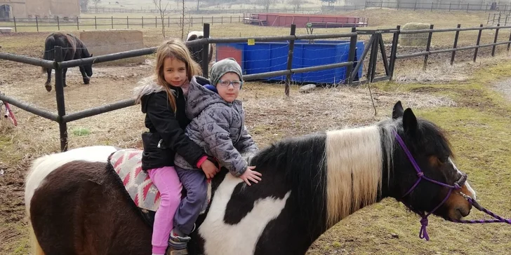 Jeden den farmářem: zážitkový pobyt na farmě pro jednoho i celou rodinu