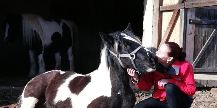 Jeden den farmářem: zážitkový pobyt na farmě pro jednoho i celou rodinu