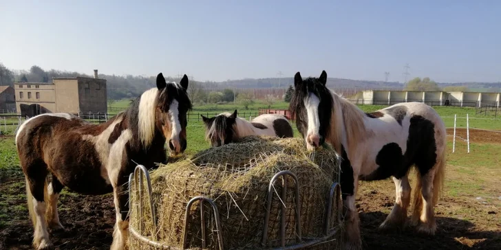 Jeden den farmářem: zážitkový pobyt na farmě pro jednoho i celou rodinu