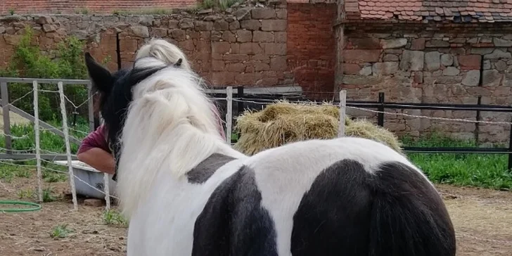 Jeden den farmářem: zážitkový pobyt na farmě pro jednoho i celou rodinu
