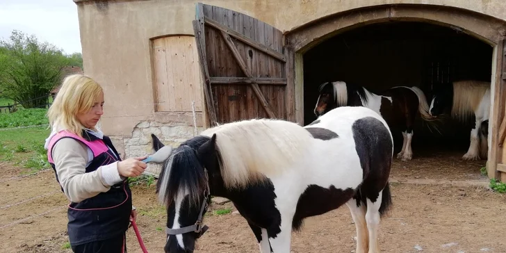 Jeden den farmářem: zážitkový pobyt na farmě pro jednoho i celou rodinu