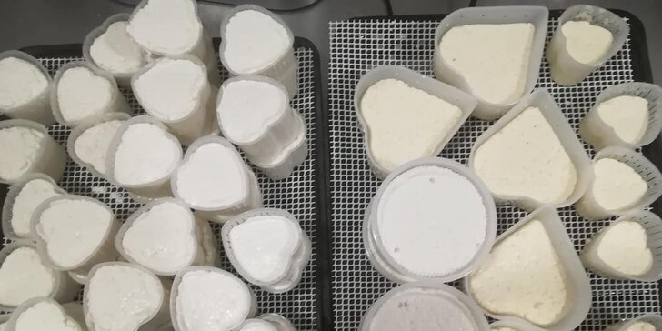 Kurz výroby sýra na bio farmě: praxe, teorie a prohlídka farmy s výkladem