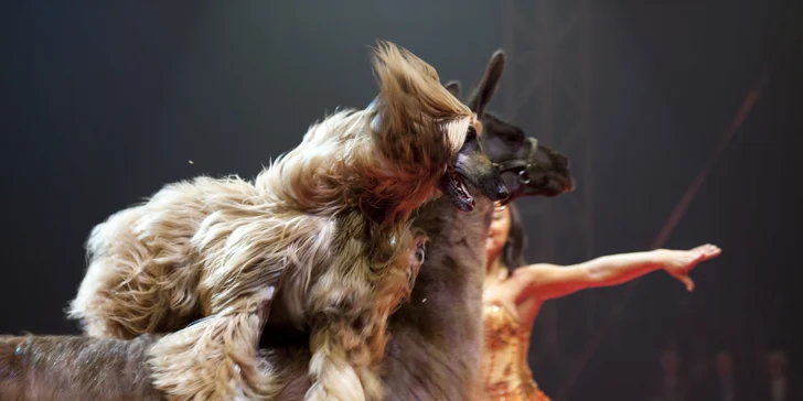 Užijte si pořádnou show cirkusu Bernes: 4 termíny v Dobřichovicích