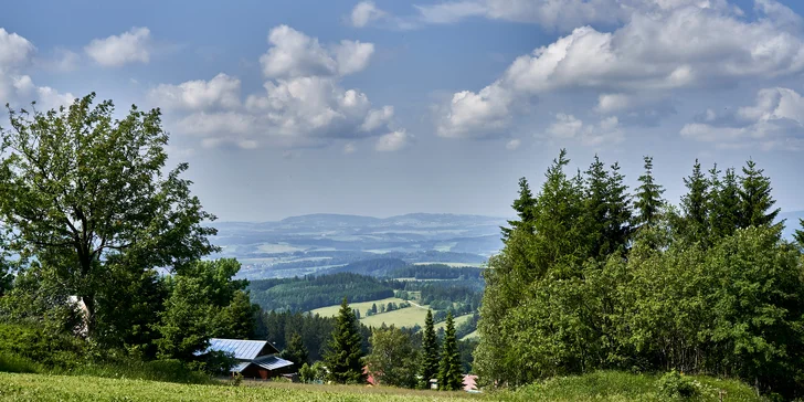 Za příplatek s sebou klidně vezměte i svého pejska.