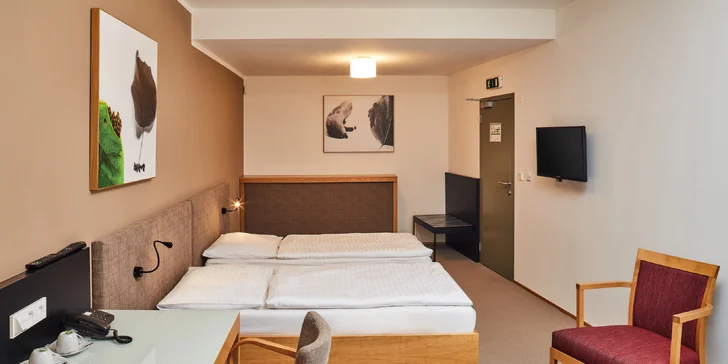 Je tu minibar i rychlovarná konvice. 