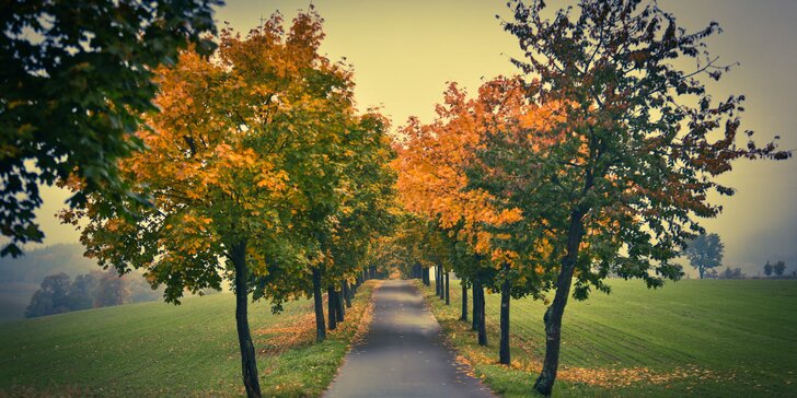 Podzimní pobyt v Jeseníkách: 3 dny v rodinném penzionu včetně polopenze