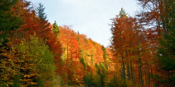 Last minute v panenských Jeseníkách: Polopenze, wellness i neomezený bazén