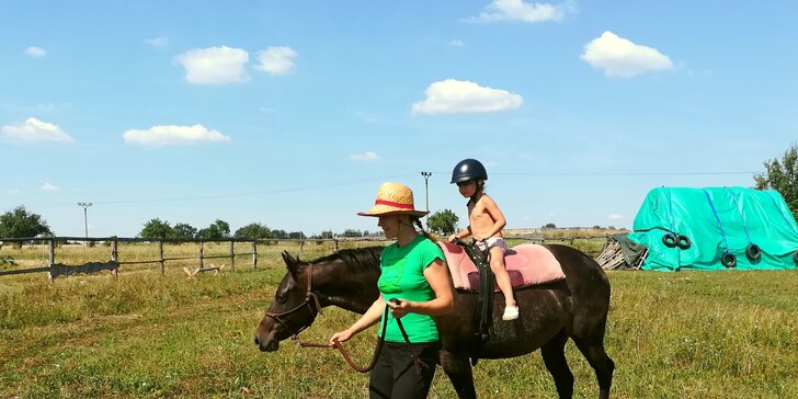 Seznámení a procházka s koněm a průvodcem pro celou rodinu