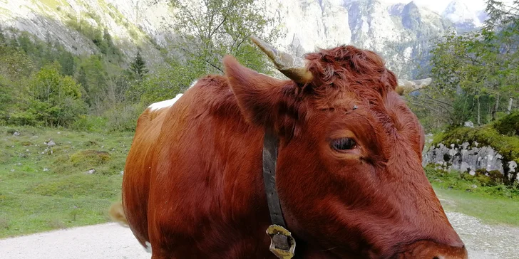 Jednodenní výlet do německých Alp na Orlí hnízdo a k jezeru Königssee