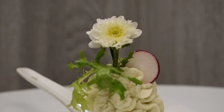 5chodové svatomartinské menu: husí paštika, kaldoun, kachní prsa i štrúdl