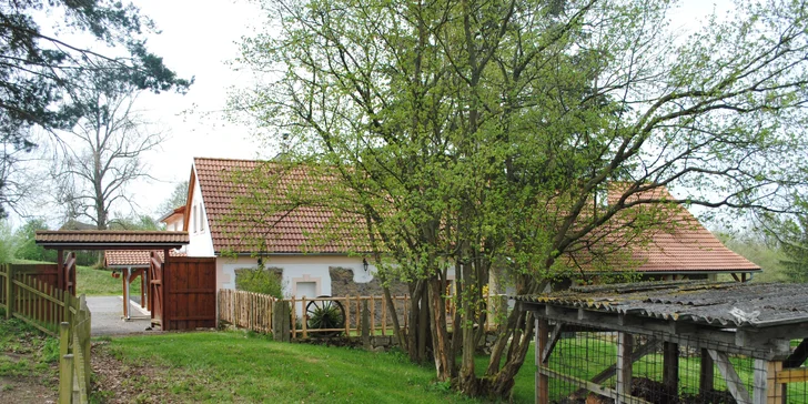 Rodinná idyla na jihočeském venkově: 3–4 dny se snídaní či polopenzí