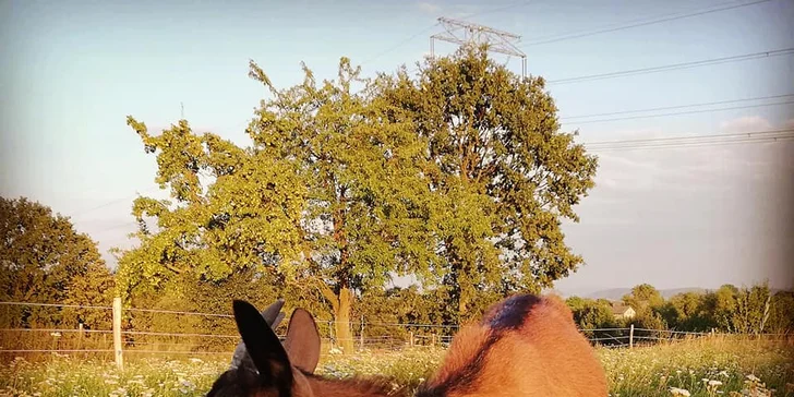Odpoledne na vesnici: procházka po rodinné farmě včetně občerstvení
