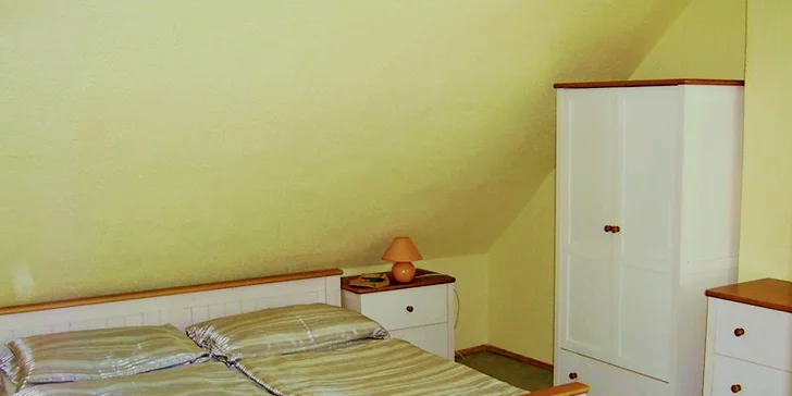 Za příplatek 200 Kč/den tu s vámi mohou být i domácí mazlíčci. 