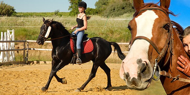 Hodina na koňském hřbetě - lekce jízdy či vyjížďka