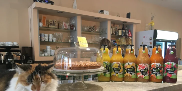 Čaj ze šťávy z čerstvého ovoce a lahodný koláč v kočičí kavárně pro 1 nebo 2 osoby