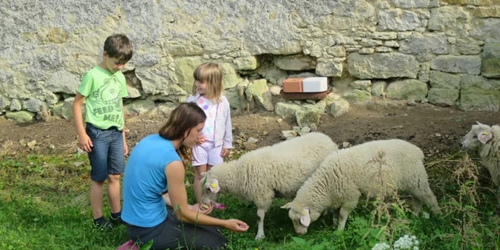 Odpoledne na vesnici: procházka po rodinné farmě včetně občerstvení