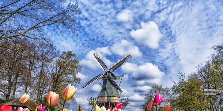 Jeden den v květinovém parku Keukenhof i návštěva Amsterdamu