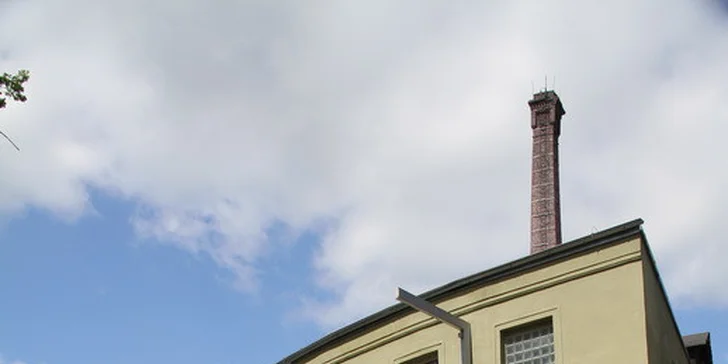 Grilované kotlety s brambory na rozmarýnu pro dva