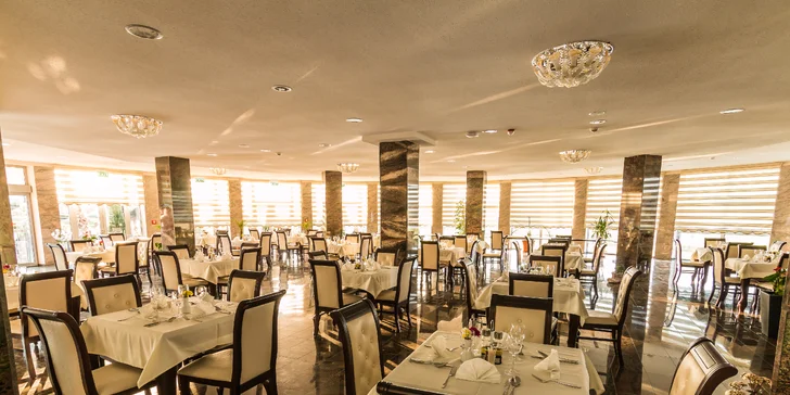 Hotelová reštaurácia vás na prvý pohľad zaujme svojim príjemným interiérom a gastronómiou na špičkovej úrovni, ktorá uspokojí chute aj tých najnáročnejších.