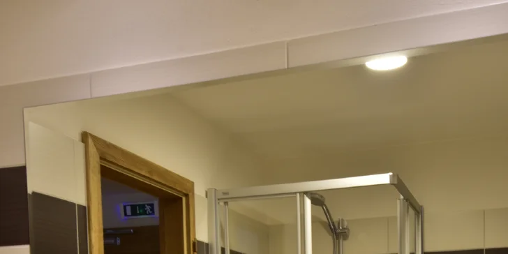 Jak na pokoji, tak v apartmánu je k dispozici koupelna se sprchou, WC a fénem. 