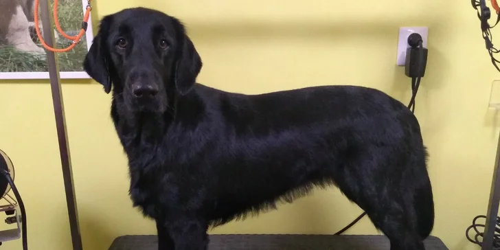 Fotografia po úprave.