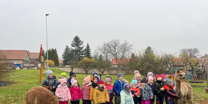 Alpaky milují kontakt s lidmi a jejich klidná energie na vás doslova přejde. 