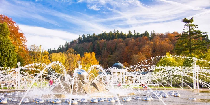 Pobyt v butikovém hotelu kousek od parku a léčivých pramenů: polopenze a wellness