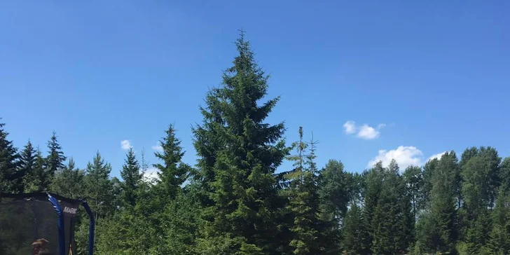 V létě lom funguje jako přírodní koupaliště.