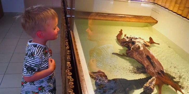 Vstupenka do Krokodýlí Zoo Praha: kajmani, krokodýli i aligátoři