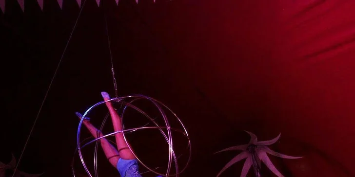 Užijte si show: vstupenky na představení Cirkusu Ohana pro děti i dospělé