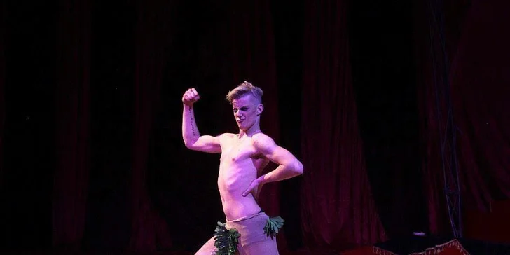 Užijte si show: vstupenky na představení Cirkusu Ohana pro děti i dospělé