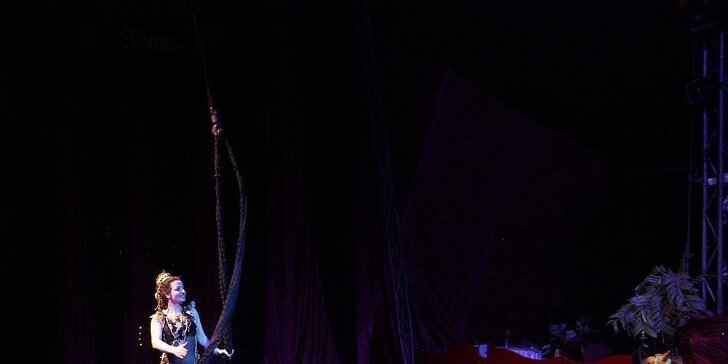 Užijte si show: vstupenky na představení Cirkusu Ohana pro děti i dospělé