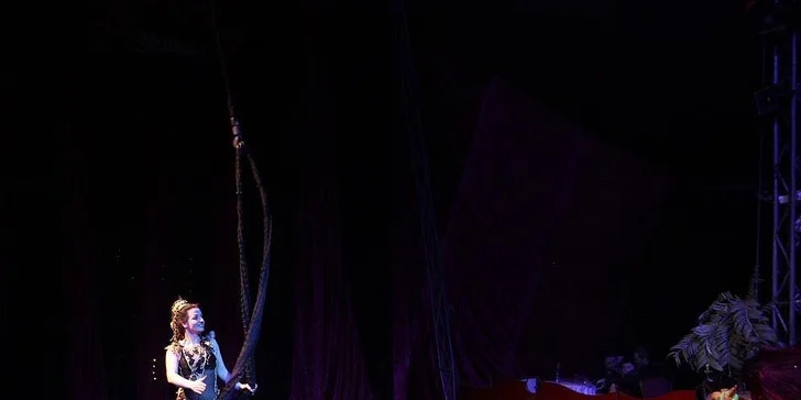 Užijte si show: vstupenky na představení Cirkusu Ohana pro děti i dospělé