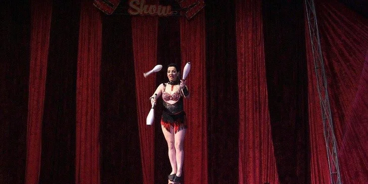 Užijte si show: vstupenky na představení Cirkusu Ohana pro děti i dospělé