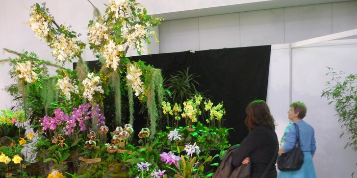Výlet na prodejní výstavu orchidejí Orchideen Welt a prohlídka Drážďan