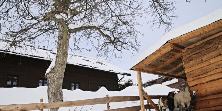 Podzim i zima v chalupě se saunou v Jizerských horách až pro 13 osob