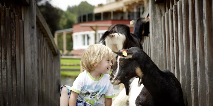 Deťom sa zapáči kontaktná zoo.