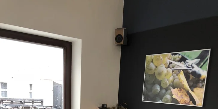 Pohoda na Vinohradech: posezení s moravským vínem a talířem dobrot pro 2