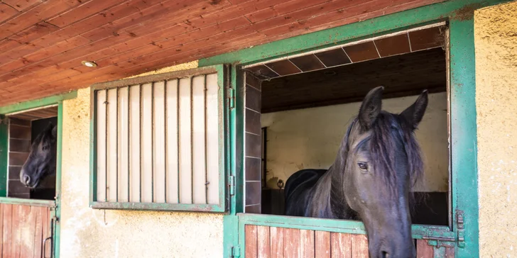 Tři pohodové dny na statku u Krušných hor s polopenzí a vyjížďkou na koni