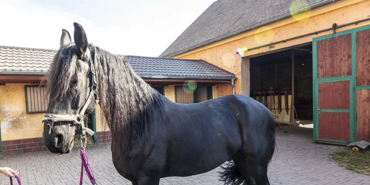 Tři pohodové dny na statku u Krušných hor s polopenzí a vyjížďkou na koni