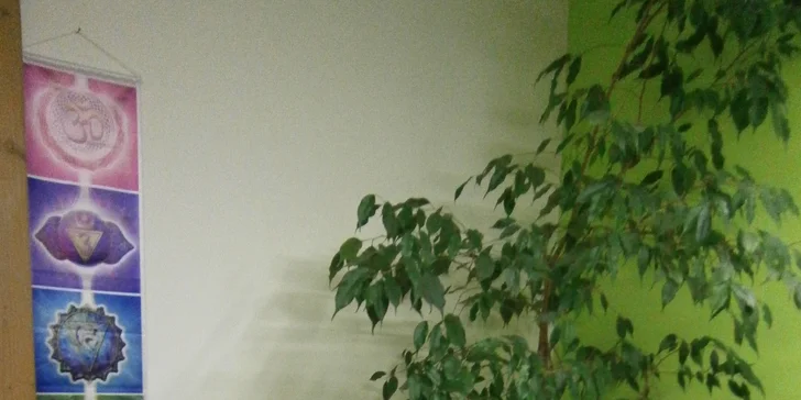 Masírovat vám tu budou záda, obličej nebo třeba celé tělo.