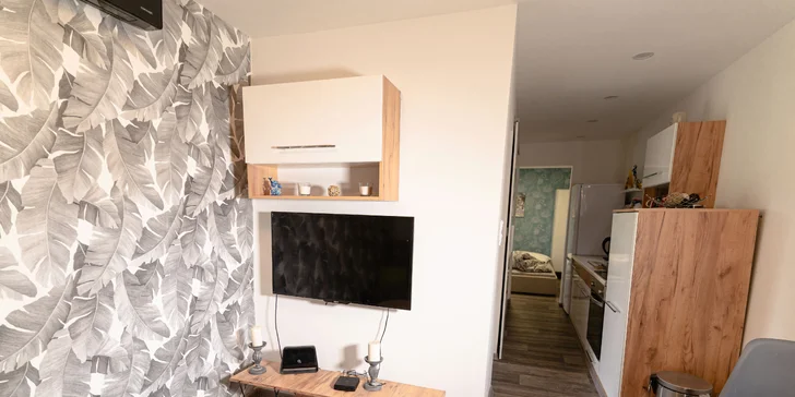 V obývačke je rozkladací gauč aj LCD televízor.